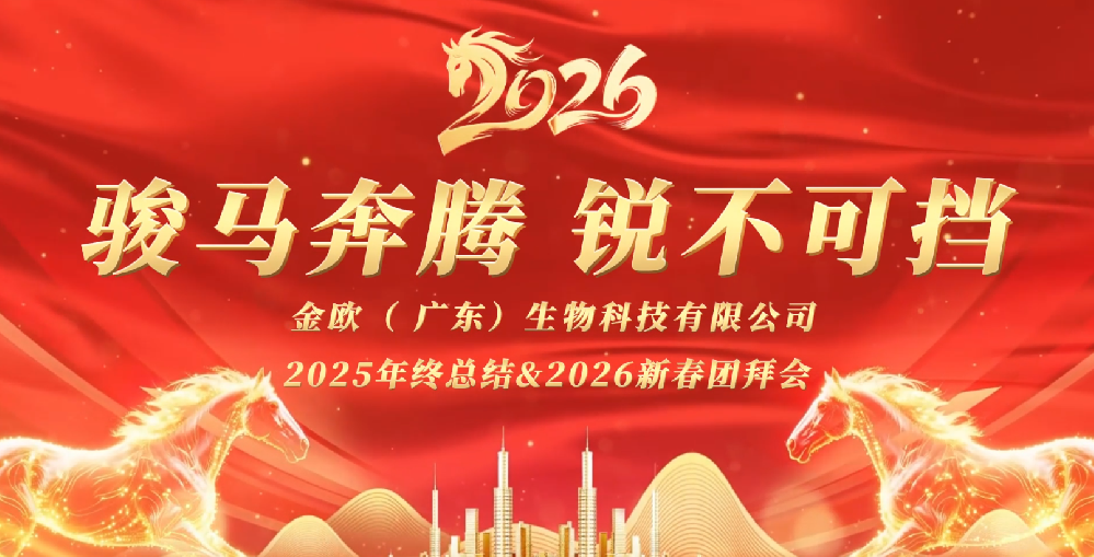 凝心聚力·共赴新程|金欧公司年会圆满落幕 凝心聚力·共赴新程|金欧公司年会圆满落幕
